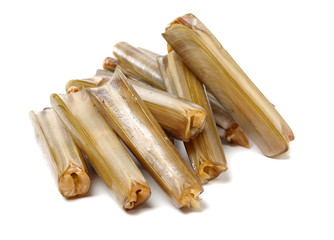 Razor clams isolated on white background.
