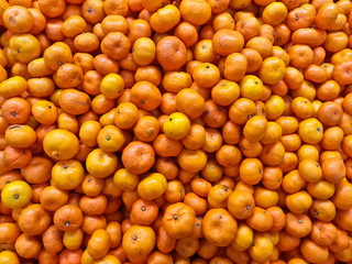 fresh orange fruits