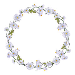 Watercolor flowers frame wreath. Springtime. Chamomiles and leaves. Healing Herbs for cards, wedding invitation, posters, save the date or greeting design. Isolated on white background.