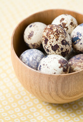 Bowl of uzura eggs, Japanese quail (Coturnix japonica) eggs