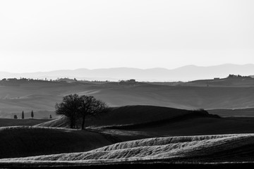 Obraz premium Beautiful view of Tuscany hills at sunset with mist