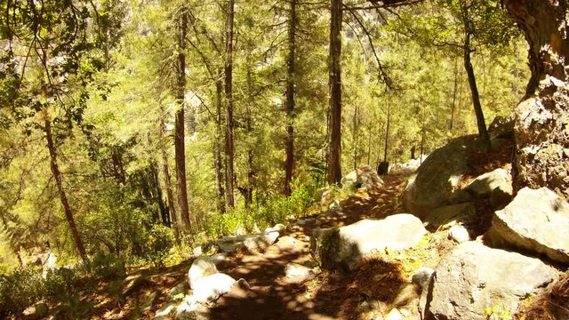 POV somebody goes down path in forest high mountains Himalaya sunny day