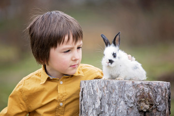 Cute little preschool boy, playing with pet rabbits in garden