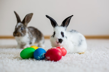 Little toddler child, baby boy, playing with bunnies and easter eggs at home