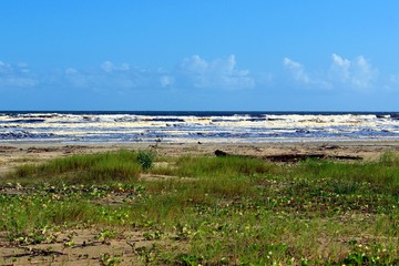 Fototapeta na wymiar Landscape of Barra do Una beach, located at Juréia-Itatins Ecological Station, Peruíbe, São Paulo, Brazil.