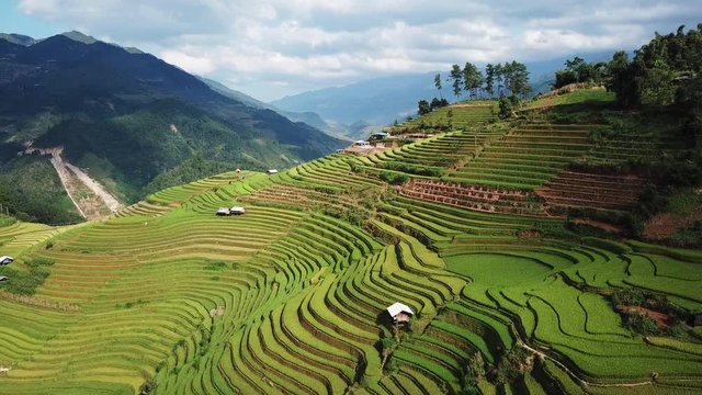 Vietnam rice farming architecture, beautiful curves around mountain village. Aerial View
