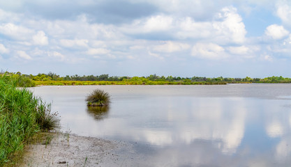 Regional Nature Park of the Camargue