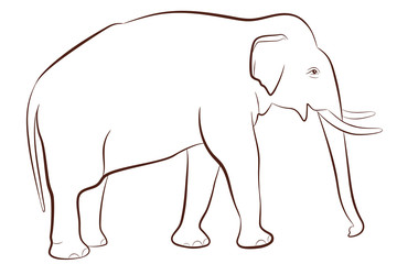 Elephant in outline style isolated on white background, coloring page for children, vector illustration of male elephant