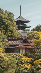 Pagoda of a Japanese temple in Kyoto, Japan