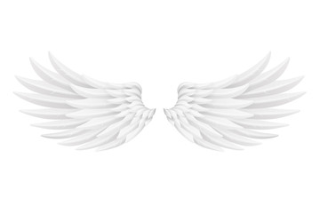 White bird angel animal fly wings 3d realistic decorative feather design object isolated on white vector illustration