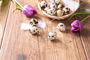 Easter eggs and flower on wooden table. Spring concept on plank