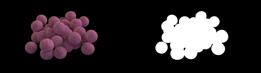 3D illustration of a staphylococcus aureus bacteria