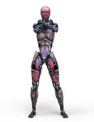 Fototapeta premium 人型ロボット