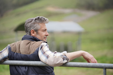 Farmer leaning on fence looking out in field