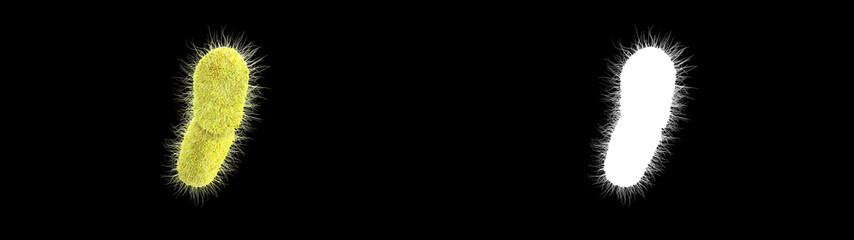 3D illustration of a klebsiella pneumoniae bacteria