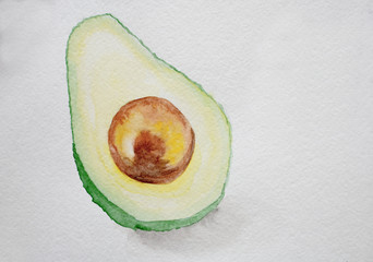 Watercolor drawing, green avocado with a bone on a white background