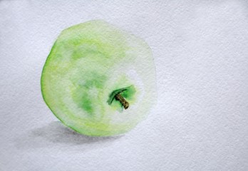 Watercolor drawing, green apple with a sprig