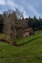 Plakat Alte Steinhütte am Waldrand