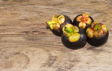 mangosteen