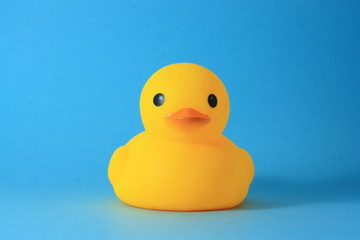 Yellow rubber duck toy against blue background.
