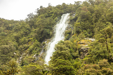Obraz premium Fiordland National Park New Zealand