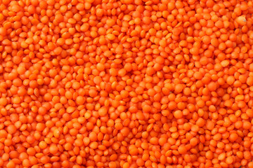 red lentils background. red lentils texture. Top view.