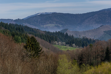 Panorama Landschaft im Schwarzwald