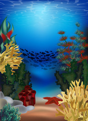 Fototapeta na wymiar Underwater card with algae and starfish, vector illustration