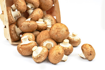 Fresh brown champignon mushrooms on white background.