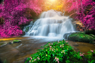 Naklejki  Niesamowity w naturze, piękny wodospad w kolorowym jesiennym lesie w sezonie jesiennym
