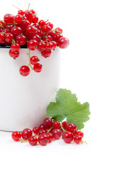 White cup with red currant berry in it and small bunch of red currant with green leaf  isolated on white..