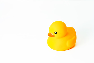 Yellow rubber duck against white background.