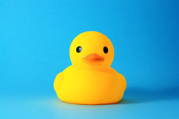 Yellow rubber duck against blue background.