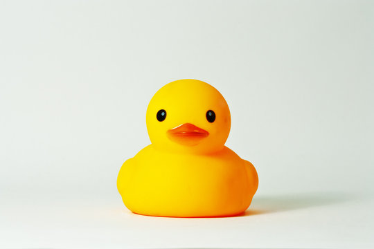 Yellow rubber duck against white background.