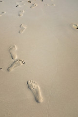 Fototapeta na wymiar Human footprints and footsteps path in the sand on the beach with empty copy space for text. Human in nature. Travelling in vacation and holiday. Journey direction toward meaning of life.