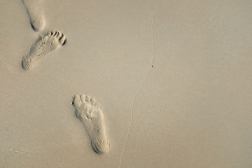 Human footprints and footsteps path in the sand on the beach with empty copy space for text. Human in nature. Travelling in vacation and holiday. Journey direction toward meaning of life.