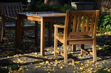 table and chairs in a garden
