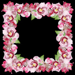 Beautiful floral pattern of Alstroemeria and Orchids. Isolated 