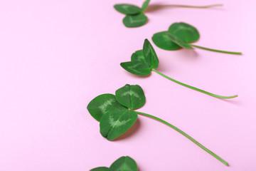 Fresh green clover on color background