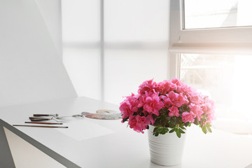 Beautiful blooming azalea in pot on table