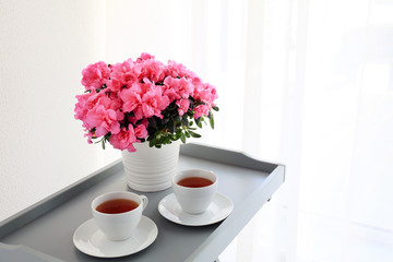 Obraz na płótnie Canvas Pot with beautiful blooming azalea and cups of tea on table