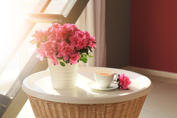 Pot with beautiful blooming azalea and cup of tea on table