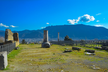 Pompeii, Naples - Italy - Ancient Roman Ruines - House Garden