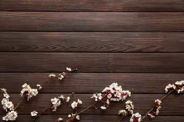 Fototapeta na wymiar Beautiful blossoming branches on wooden background