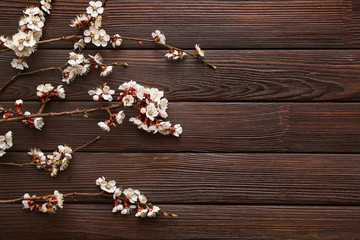 Beautiful blossoming branches on wooden background