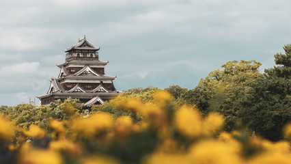 Hiroshima castle landmark with yellow flowers in the foreground, Japan