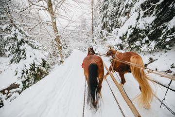 And they take me 2 brown horses.
