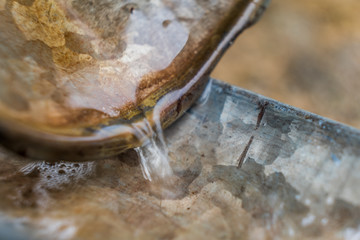 Water running in a drain isolated