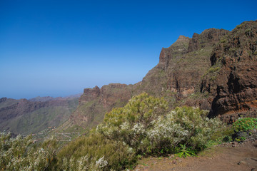 Fototapeta na wymiar Trekking in Tenerife. Beautiful landscapes of the island.