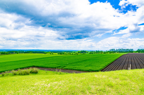 十勝平野 の画像 1 3 件の Stock 写真 ベクターおよびビデオ Adobe Stock